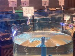 -百富源·海鲜辽菜(浑河堡店)