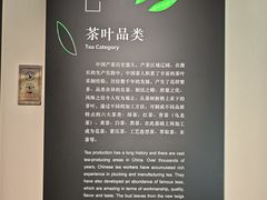 -中国茶叶博物馆(双峰馆区)