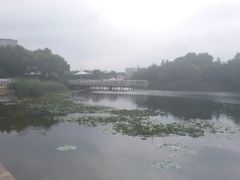 -新江湾城公园