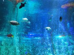 -沈阳海洋探索中心