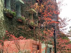 -三鹰之森吉卜力美术馆