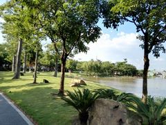 -映月湖公园