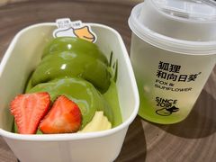 -狐狸和向日葵(北京路店)