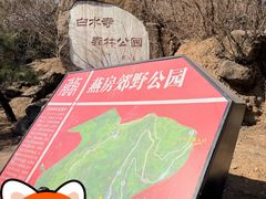 -白水寺森林公园