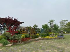 -上海长兴岛郊野公园