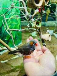 点击看大图 -Zoolung Zoolung动物主题公园(海信广场店)