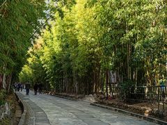 -蝴蝶泉公园