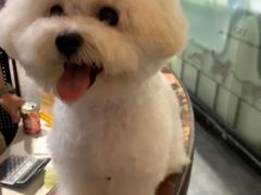 -MOLLY'S萌宠生活馆