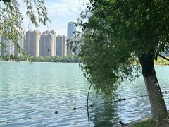 -天鹅湖体育公园