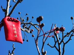 -崂山巨峰游览区
