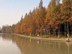-潮府馆·非遗潮州菜·世纪公园(新国际博览中心店)