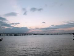 -宝安西湾红树林湿地公园