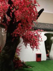 -盘子女人坊生日照·摄影馆(华强店)