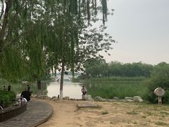 -大兴滨河森林公园