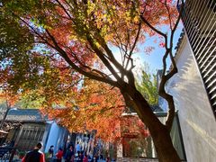 -惠山古镇·寄畅园