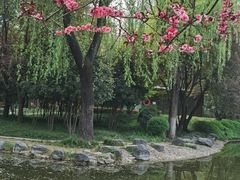 -木塔寺遗址生态公园