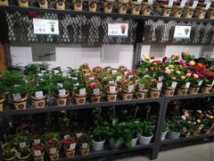 -鹿岛会员店 (龙湖三千集天街店)