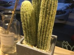 -友达面馆(二七南路店)