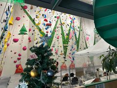 -绿壁虎攀岩基地(Tcar店)