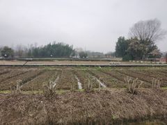 -白塔湖国家湿地公园