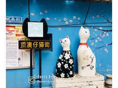 -猫咪博物馆(顶澳仔猫街店)