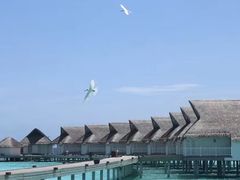 -中央格兰德岛温泉度假酒店 - 全包