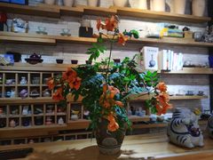 -今日陶艺(富力广场店)
