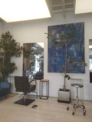 -Hair  Gallery