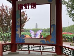 -西海子公园