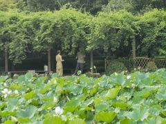 -上海醉白池公园