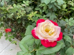 -文华公园(禅城区)