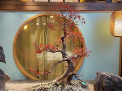 -大张烙馍村(三环南路旗舰店)