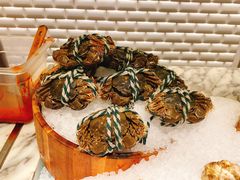 -沈阳和平艾美酒店新食谱西餐厅
