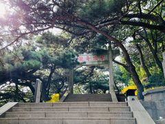 -沂蒙山旅游区龟蒙景区