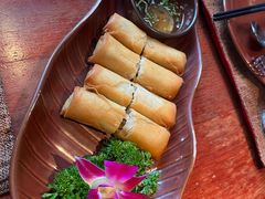 -花马天堂云南餐厅 Lost Heaven(外滩店)