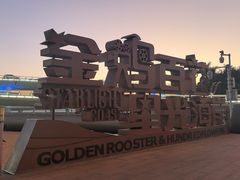 -演武大桥观景平台