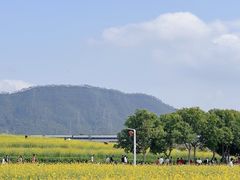 -光明小镇欢乐田园