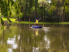-上海共青森林公园