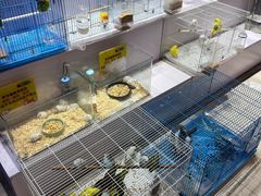 -万达广场(惠州大亚湾店)