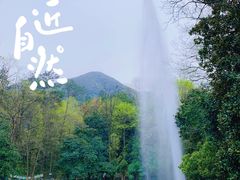 -大奇山国家森林公园