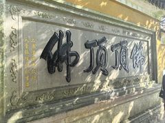 -普陀山风景区-佛顶山