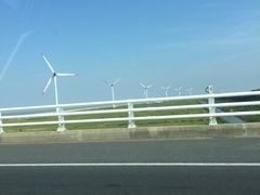 -崇明东平国家森林公园烧烤房车露营地