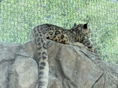-青藏高原野生动物园