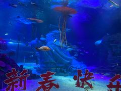 -沈阳海洋探索中心