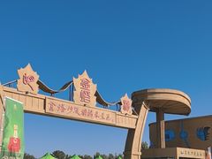 -金塔沙漠胡杨林景区