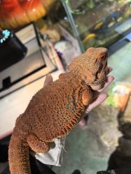 -酷嗒动物文化乐园(cutezoo西溪乐天城店)