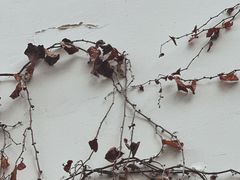 -昆明老街