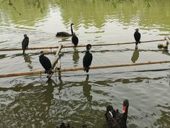 -长兴太湖图影湿地文化园