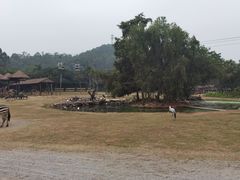 -广州长隆国际大马戏