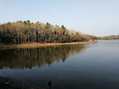 -上海海湾国家森林公园